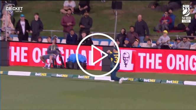 [Watch] David Warner Pouches Sensational Catch As Zampa Wins It For Australia